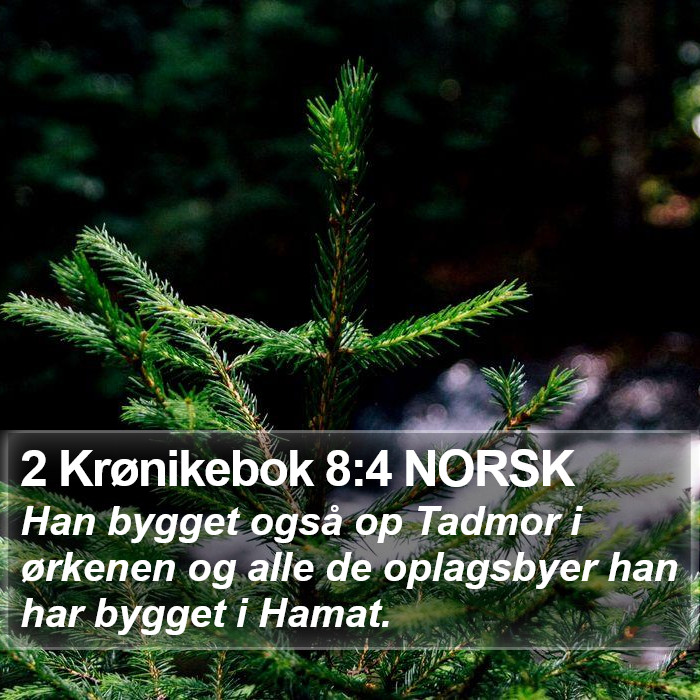 2 Krønikebok 8:4 NORSK Bible Study