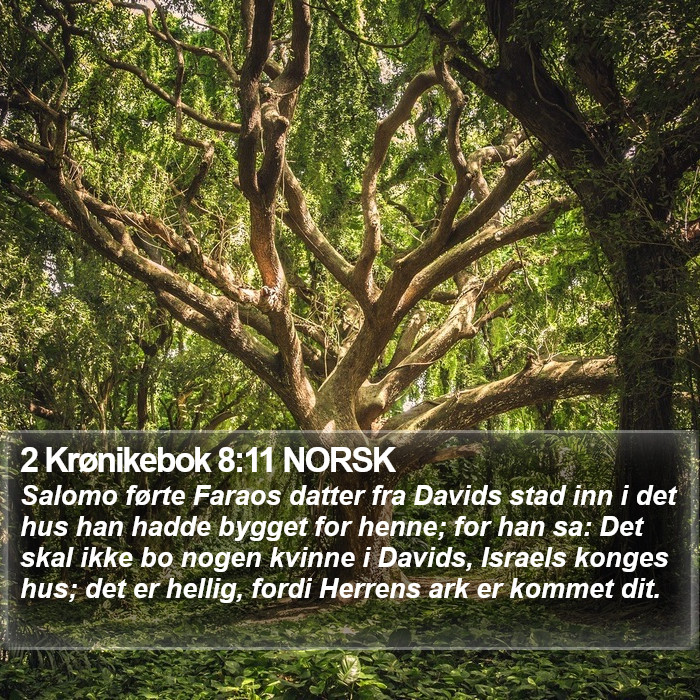 2 Krønikebok 8:11 NORSK Bible Study