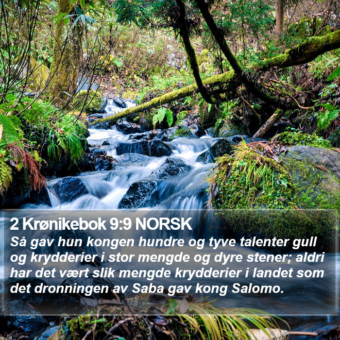 2 Krønikebok 9:9 NORSK Bible Study