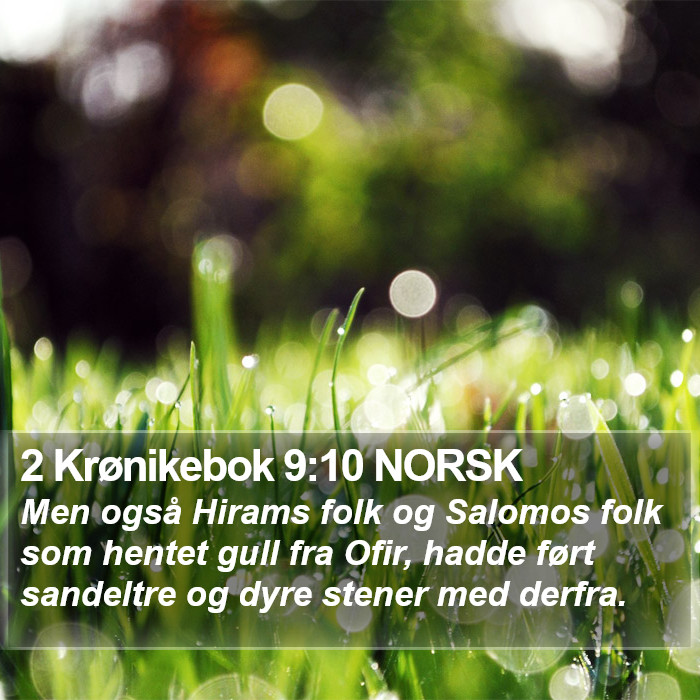 2 Krønikebok 9:10 NORSK Bible Study