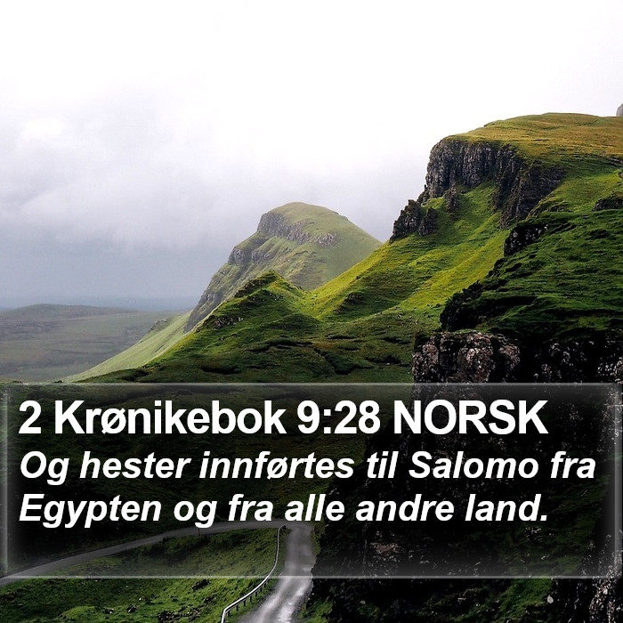 2 Krønikebok 9:28 NORSK Bible Study