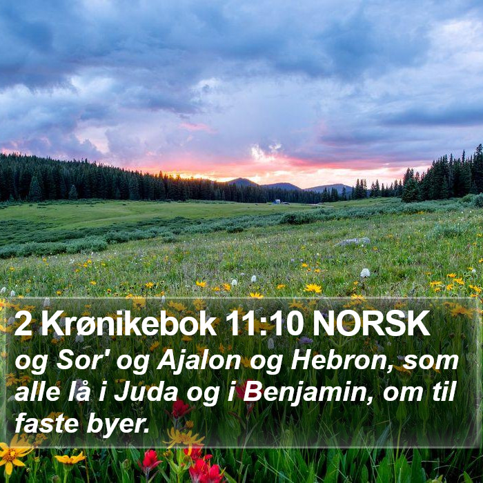 2 Krønikebok 11:10 NORSK Bible Study