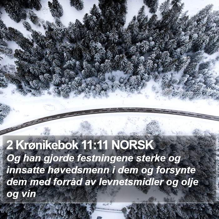 2 Krønikebok 11:11 NORSK Bible Study