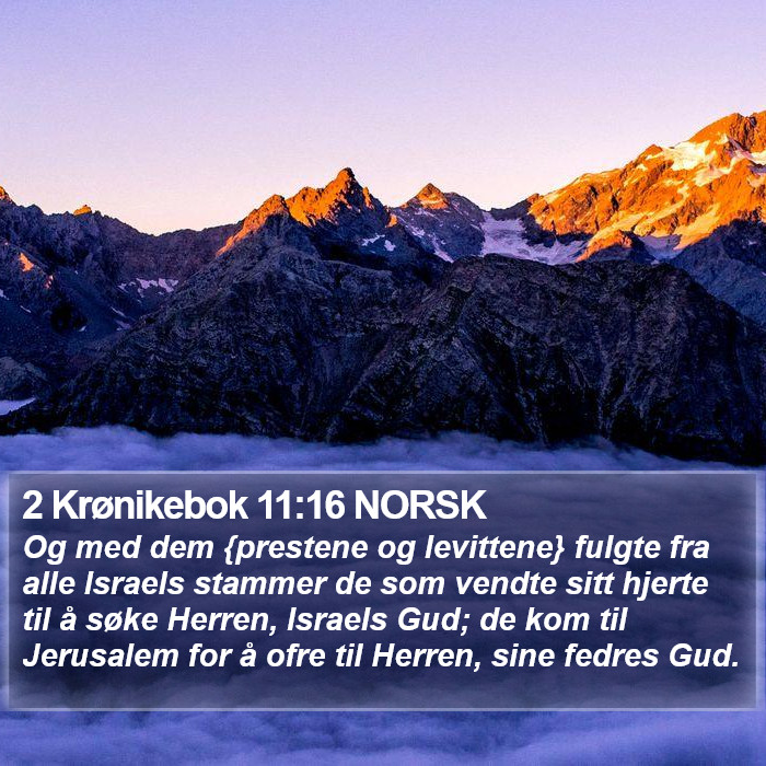 2 Krønikebok 11:16 NORSK Bible Study