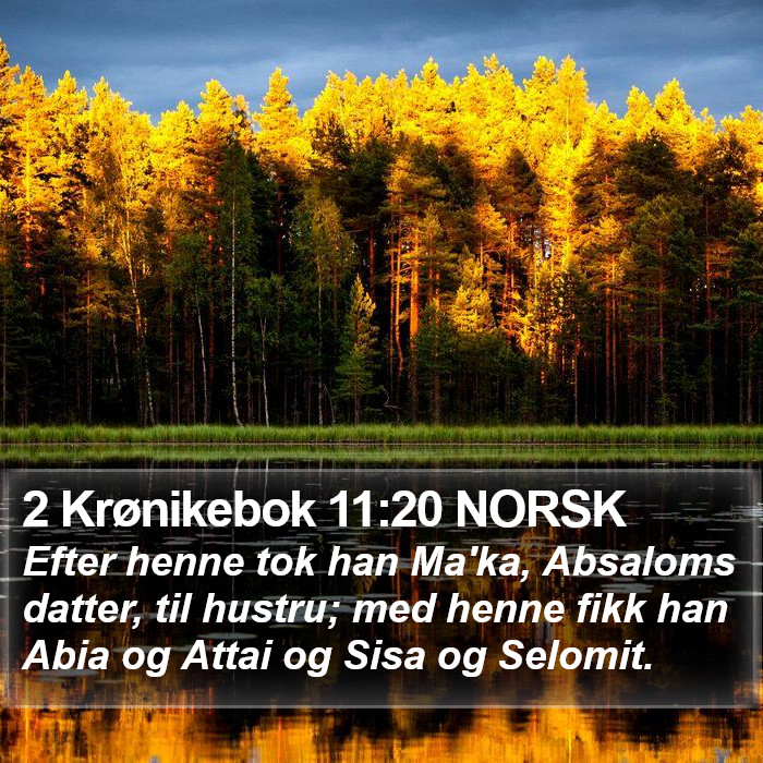 2 Krønikebok 11:20 NORSK Bible Study
