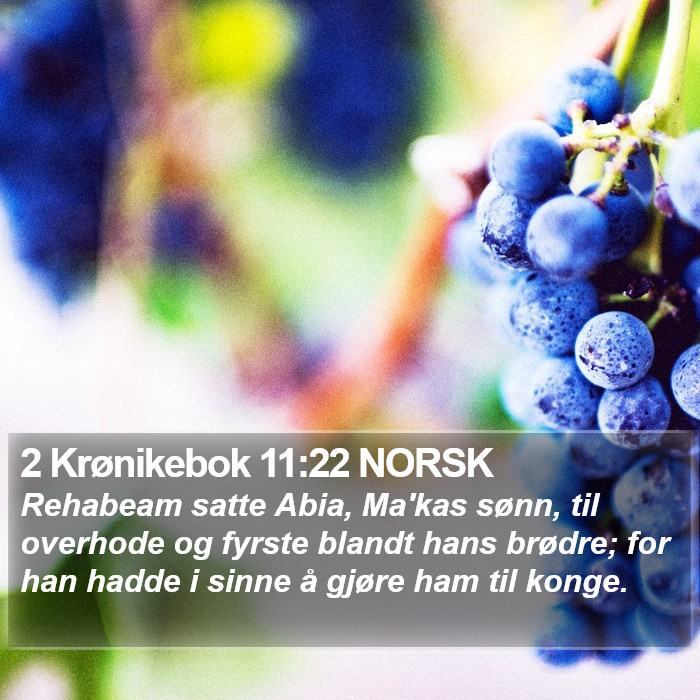 2 Krønikebok 11:22 NORSK Bible Study