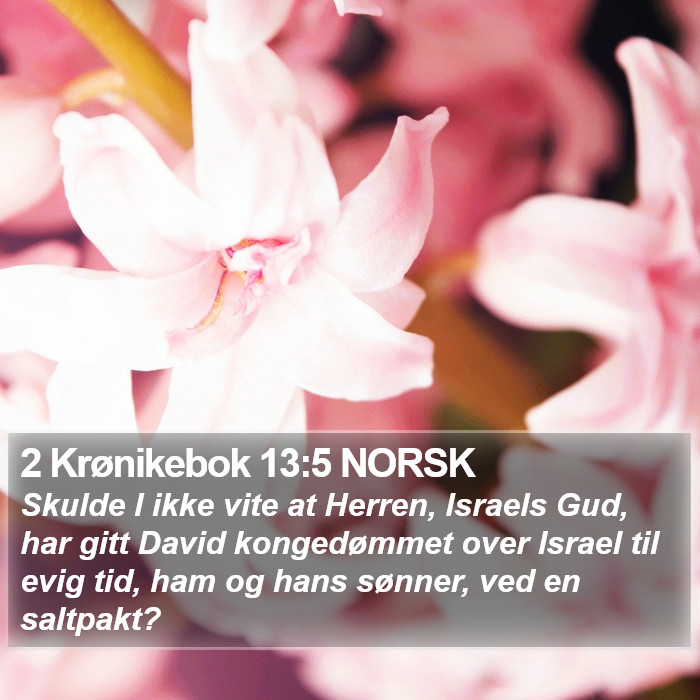 2 Krønikebok 13:5 NORSK Bible Study