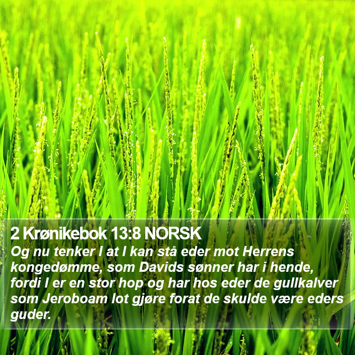 2 Krønikebok 13:8 NORSK Bible Study