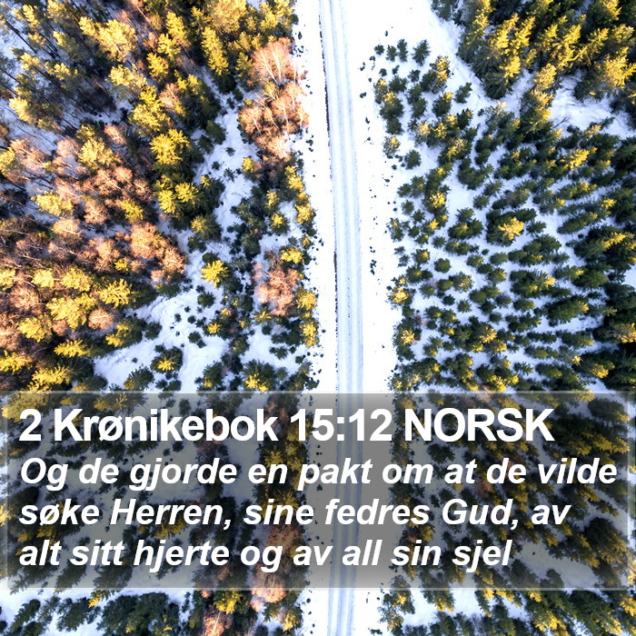 2 Krønikebok 15:12 NORSK Bible Study