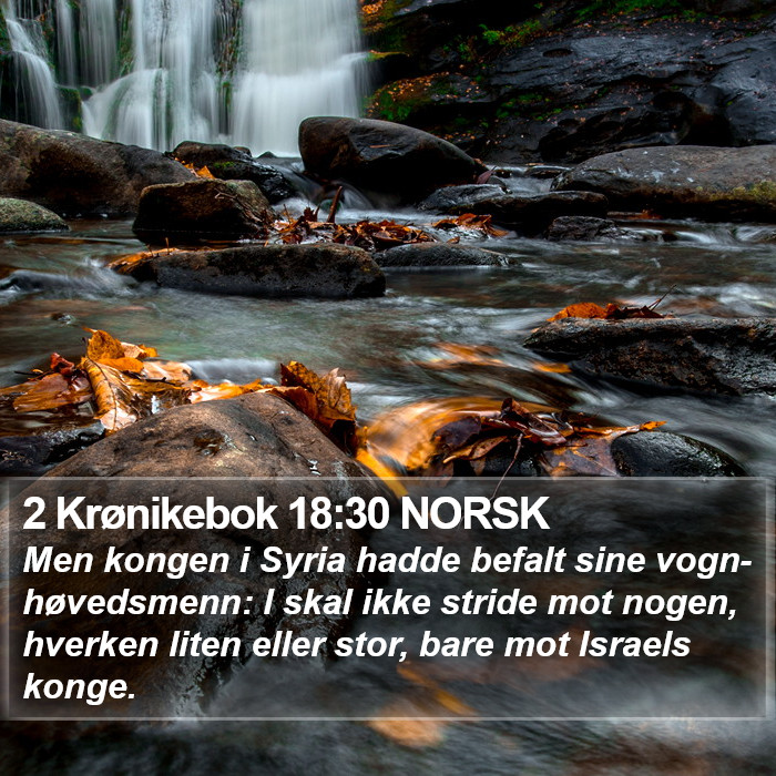 2 Krønikebok 18:30 NORSK Bible Study