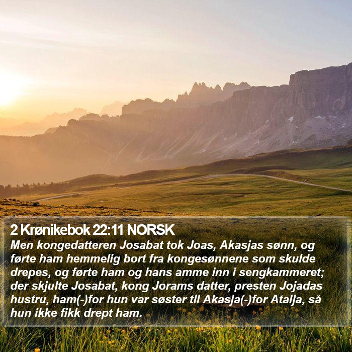 2 Krønikebok 22:11 NORSK Bible Study