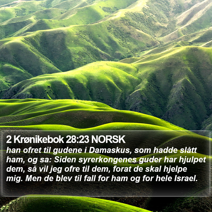 2 Krønikebok 28:23 NORSK Bible Study