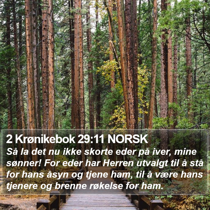 2 Krønikebok 29:11 NORSK Bible Study