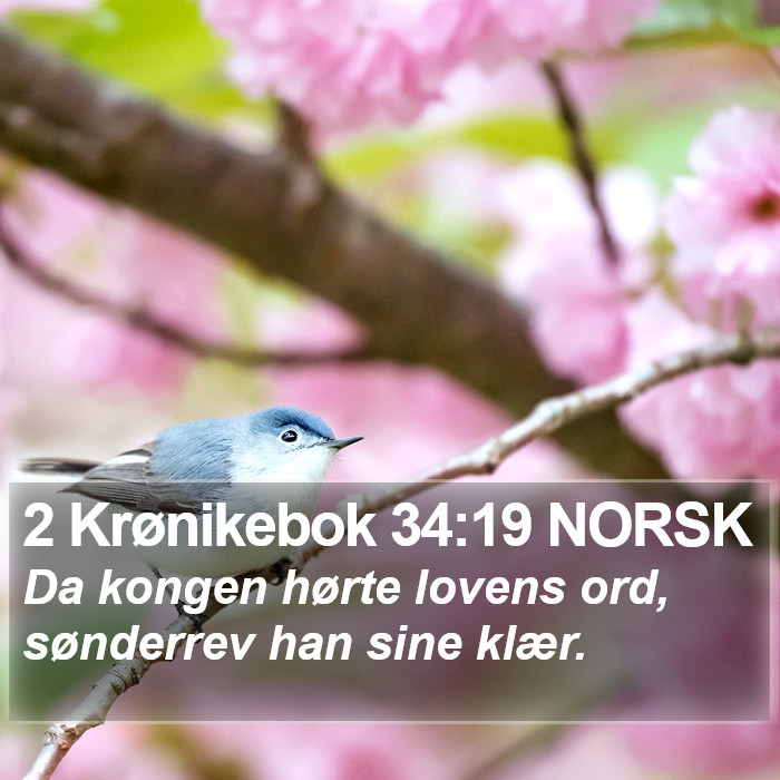 2 Krønikebok 34:19 NORSK Bible Study