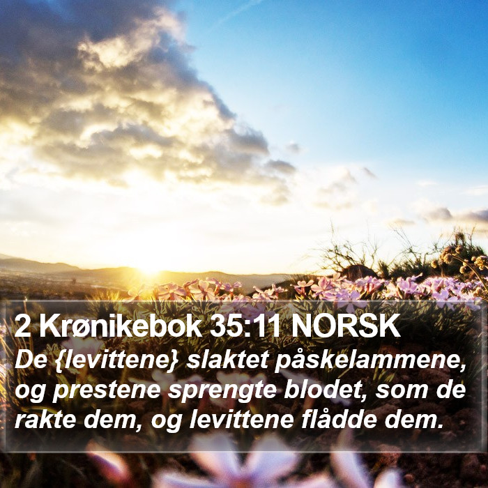 2 Krønikebok 35:11 NORSK Bible Study