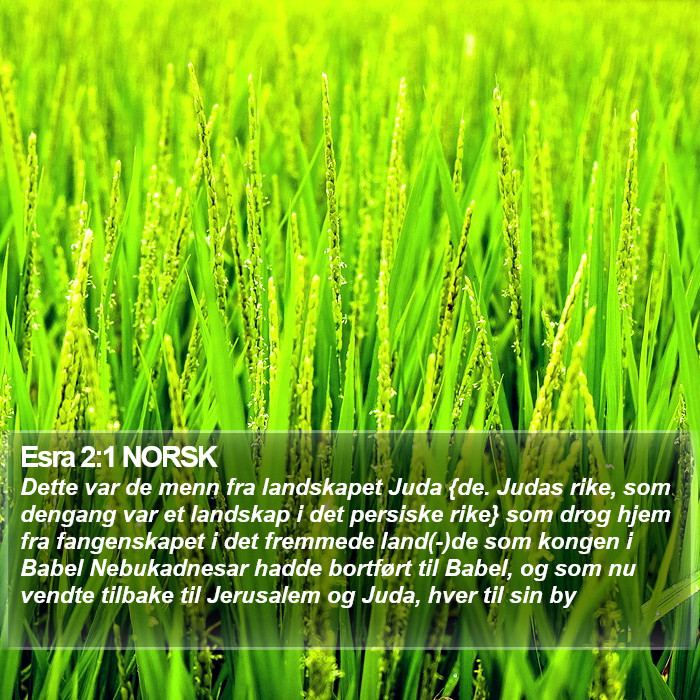 Esra 2:1 NORSK Bible Study