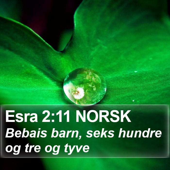 Esra 2:11 NORSK Bible Study