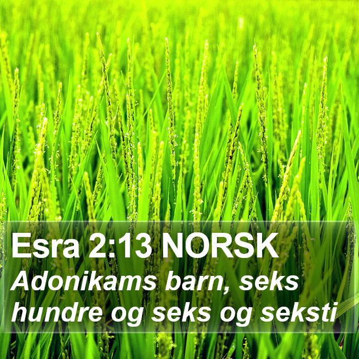 Esra 2:13 NORSK Bible Study