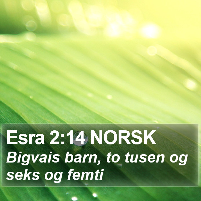 Esra 2:14 NORSK Bible Study