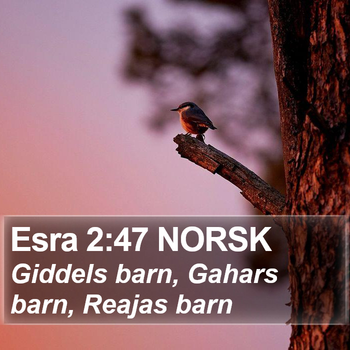 Esra 2:47 NORSK Bible Study