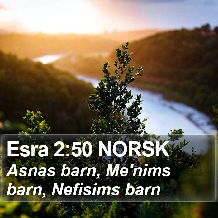 Esra 2:50 NORSK Bible Study