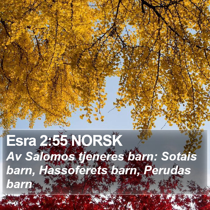 Esra 2:55 NORSK Bible Study