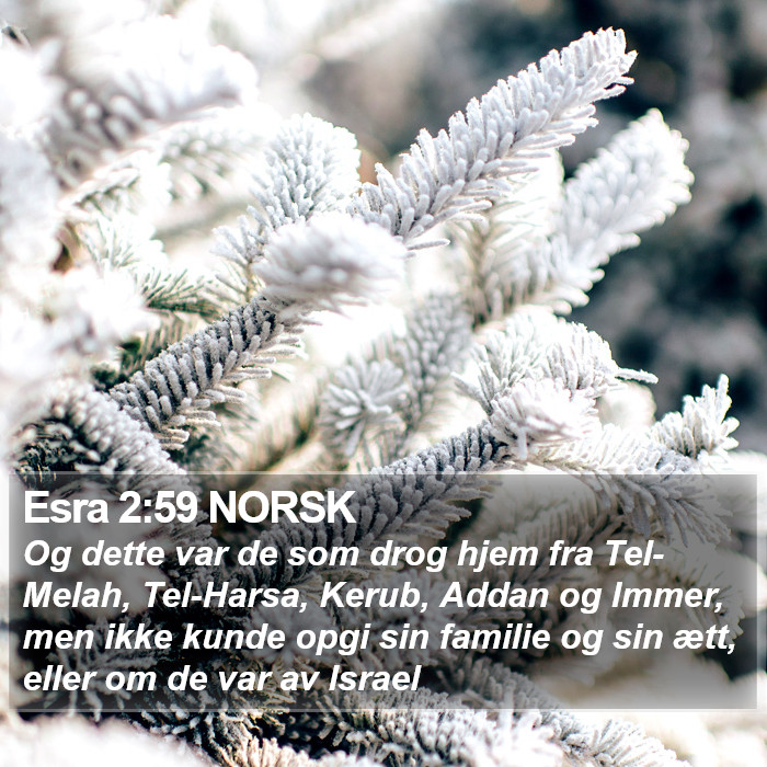 Esra 2:59 NORSK Bible Study