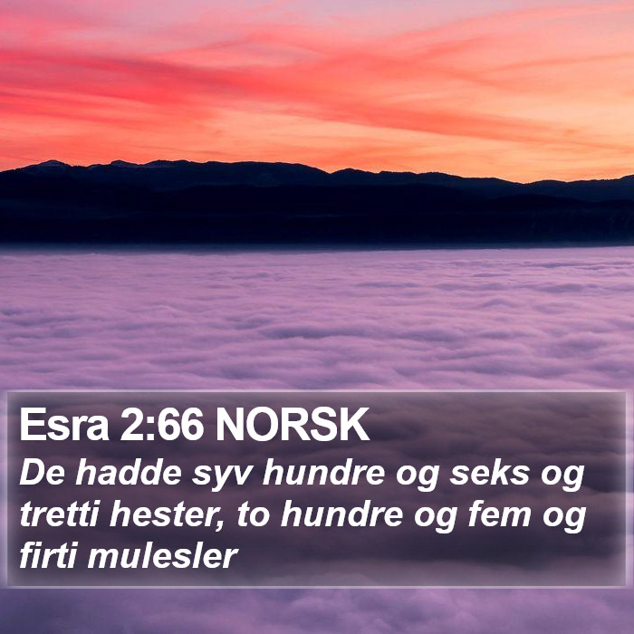 Esra 2:66 NORSK Bible Study