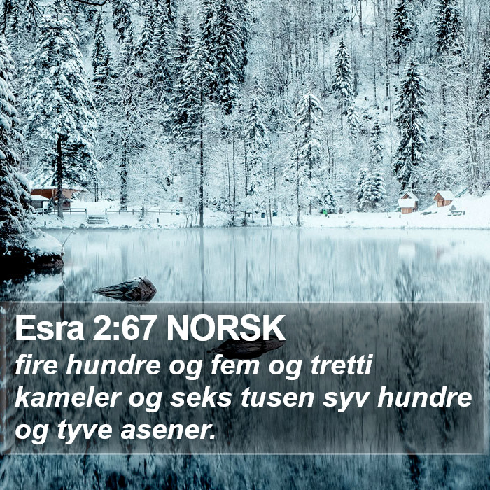 Esra 2:67 NORSK Bible Study