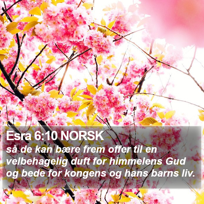 Esra 6:10 NORSK Bible Study