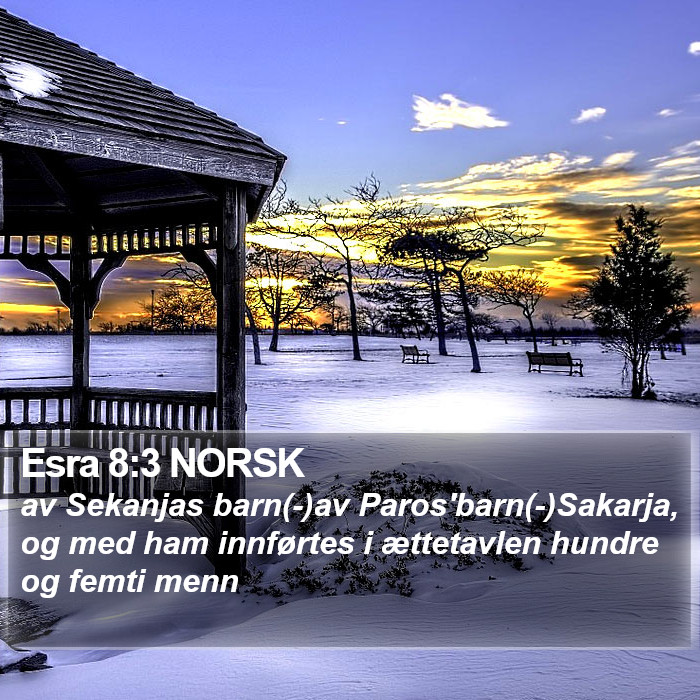 Esra 8:3 NORSK Bible Study
