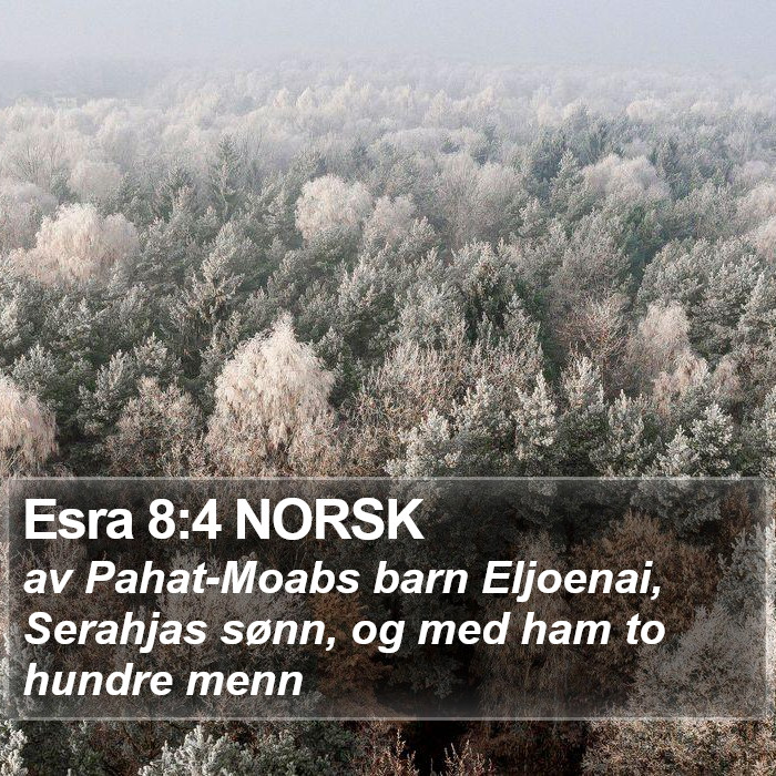 Esra 8:4 NORSK Bible Study