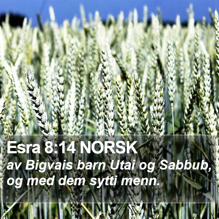 Esra 8:14 NORSK Bible Study