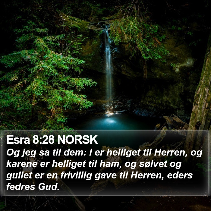 Esra 8:28 NORSK Bible Study