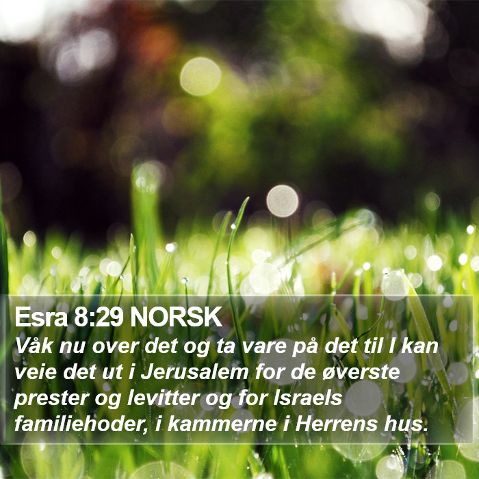 Esra 8:29 NORSK Bible Study