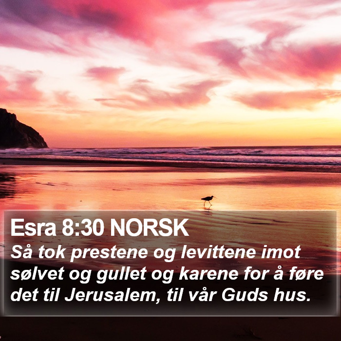 Esra 8:30 NORSK Bible Study