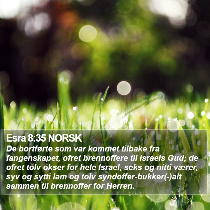 Esra 8:35 NORSK Bible Study