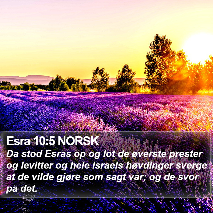Esra 10:5 NORSK Bible Study