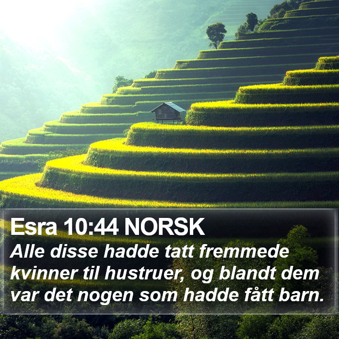 Esra 10:44 NORSK Bible Study