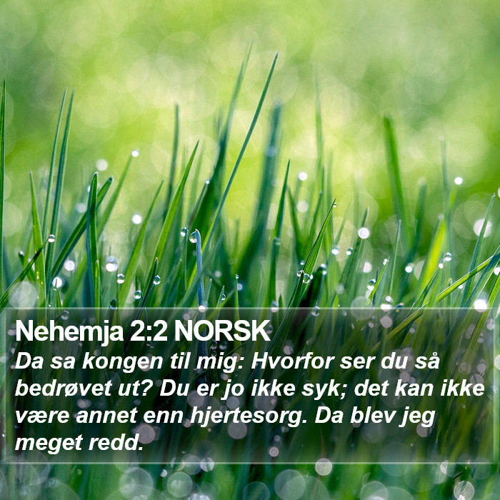 Nehemja 2:2 NORSK Bible Study