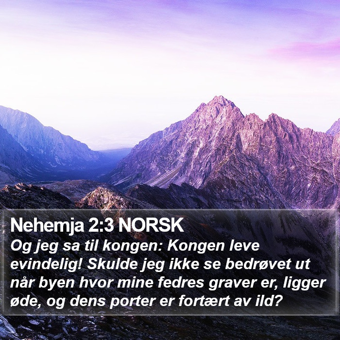 Nehemja 2:3 NORSK Bible Study