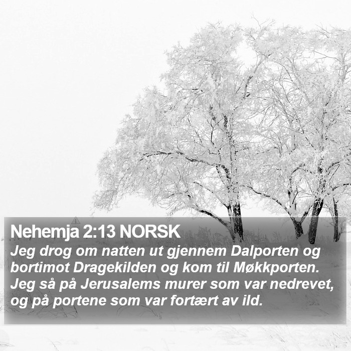 Nehemja 2:13 NORSK Bible Study