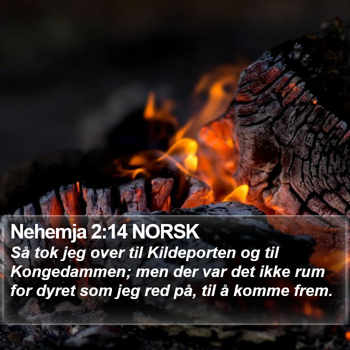 Nehemja 2:14 NORSK Bible Study