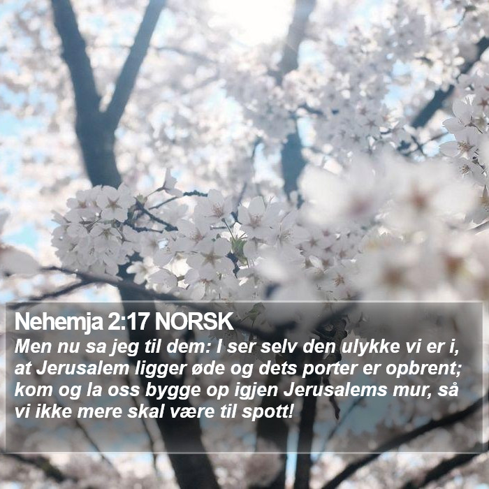 Nehemja 2:17 NORSK Bible Study