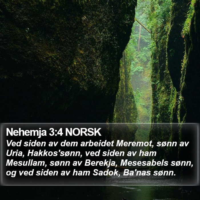 Nehemja 3:4 NORSK Bible Study