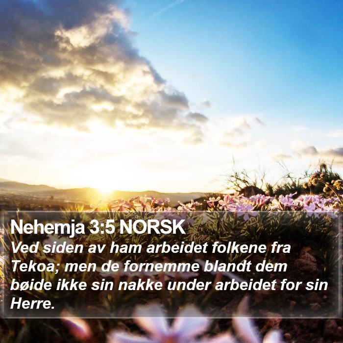 Nehemja 3:5 NORSK Bible Study