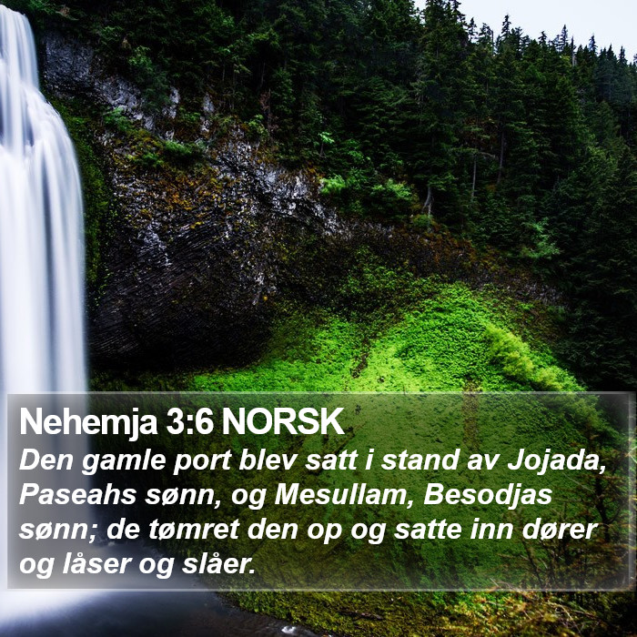 Nehemja 3:6 NORSK Bible Study