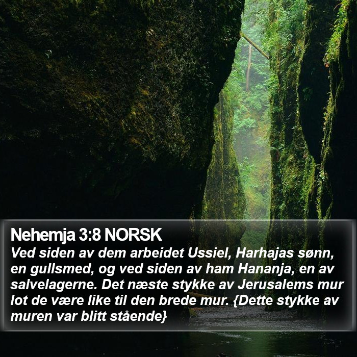 Nehemja 3:8 NORSK Bible Study