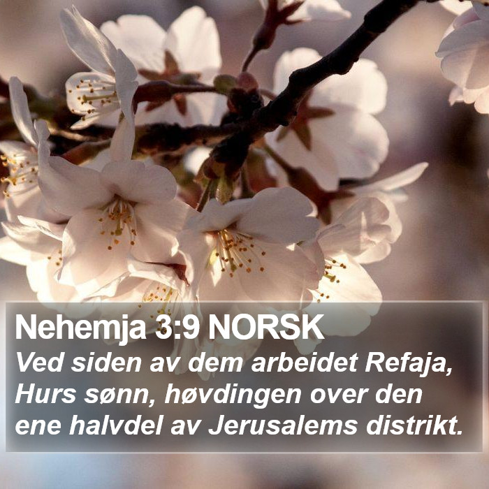 Nehemja 3:9 NORSK Bible Study