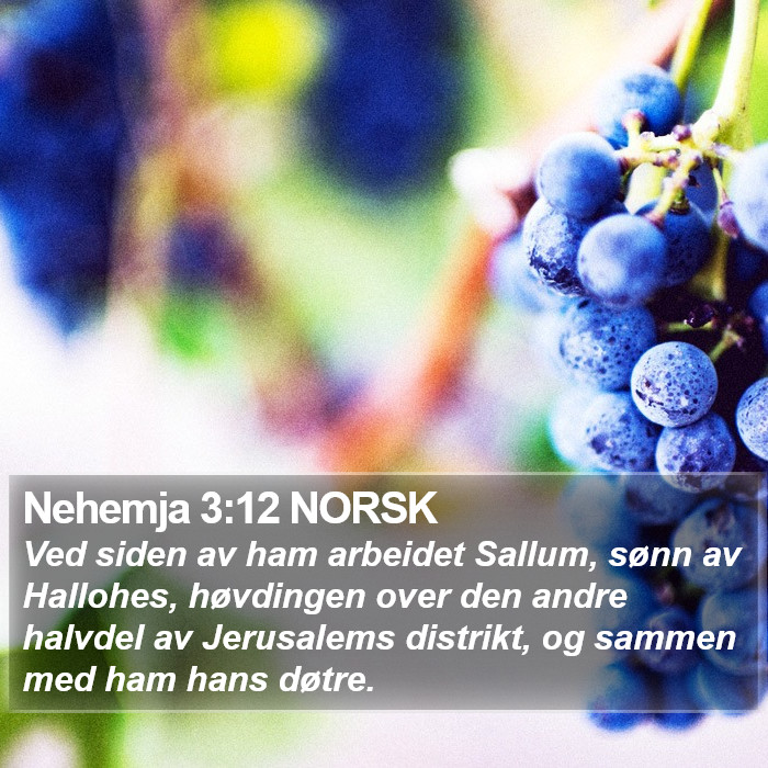 Nehemja 3:12 NORSK Bible Study